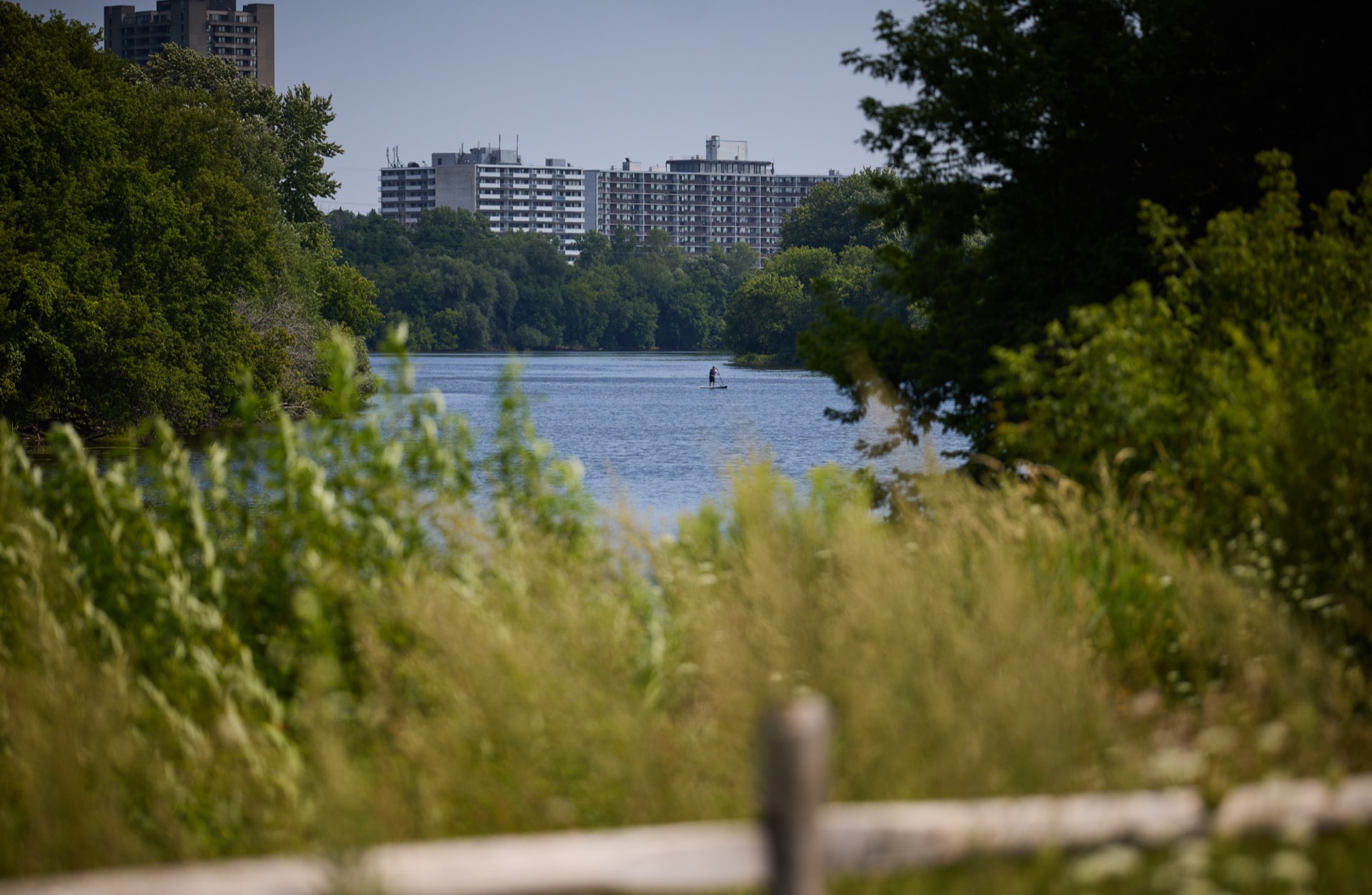 Green streetscape at Greystone Village
